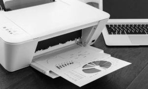 hp printer not printing